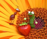 Ants and flowers artwork.